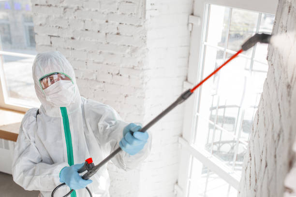 Best Mold Remediation for Healthcare Facilities  in San Ysidro, NM