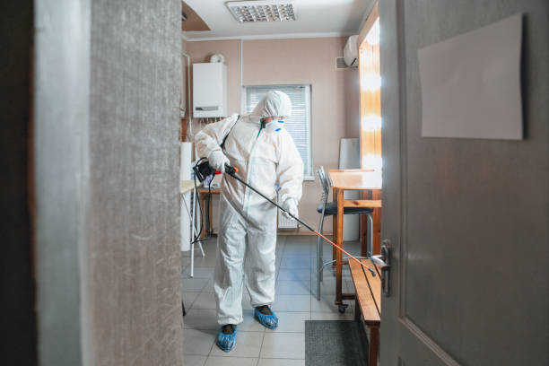 Best Asbestos and Lead Testing During Mold Inspection  in San Ysidro, NM