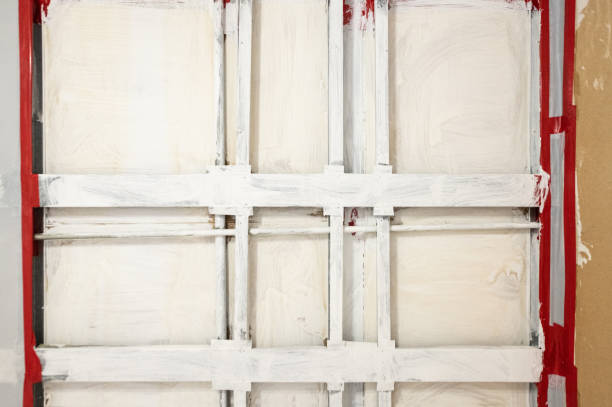 Best Emergency Mold Remediation  in San Ysidro, NM