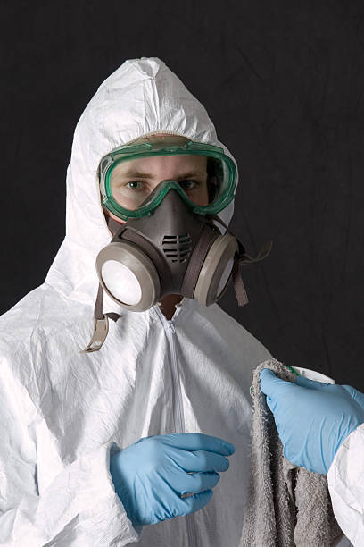 Best Mold Prevention Services  in San Ysidro, NM